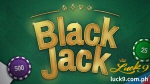 Karaniwang gumagamit ang Blackjack ng 1-8 deck ng mga baraha. Ang dealer ay nakipag-deal ng dalawang card sa bawat manlalaro, nakaharap sa itaas