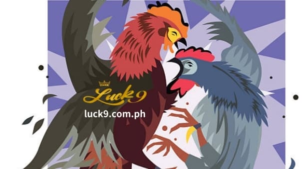 Sa buong Asya at Latin America, ang sabong ay may mahaba at makasaysayang kasaysayan sa maraming kultura.