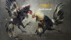 Paano Masiyahan sa Sabong at Online Sports Betting sa Pilipinas.Ang magandang bagay tungkol sa Sabon at Derby ay nagbibigay ito sa iyo ng libangan na puno ng aksyon at