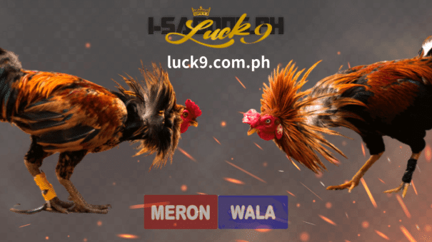Ang e-sabong o online sabong ay isang paraan para tumaya ang mga tao sa sabong online nang hindi umaalis ng bahay.