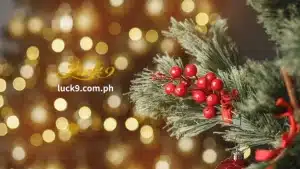 Sa listahan ng Luck9 ng mga slot na may temang Pasko, makakahanap ka ng mga laro na angkop sa bawat panlasa. Magbasa at makilala sina Santa at Rudolph. Hindi kumpleto ang listahang ito kung walang mga klasikong kwento tulad ng Scrooge at Ghost of Christmas Eve.