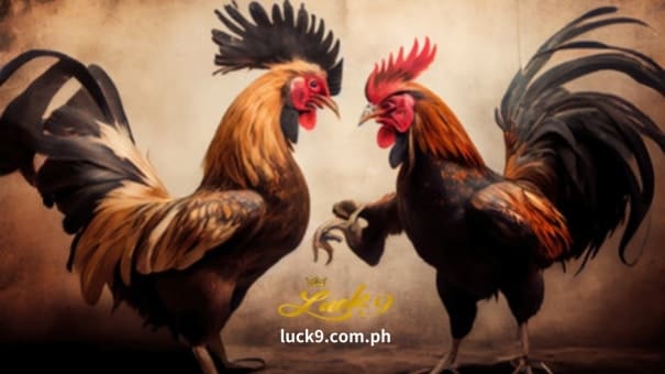 Ang mga site ng Online Sabong ay hindi pa ganap na kinokontrol ng Philippine Online Gambling Control Organization. Ang pagtaas ng mga iligal na bookmaker sa Pilipinas ay nag-udyok ng seryosong pagsasaalang-alang sa pag-legalize ng Sabong online na pagsusugal upang patuloy na matamasa ng mga Pilipino ang lahat ng mga benepisyo ng ganitong uri ng pagsusugal habang sinusuportahan din ang paglago ng industriya nito.